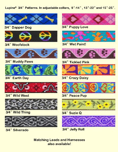 LupinePet Originals 3/4" Jelly Roll 9-14" Adjustable Collar for Small Dogs