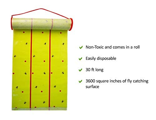 Giant Fly Glue Trap by Catchmaster - 3 Packs 30 Feet Each Pre-Baited, Ready to Use Indoors & Outdoors.