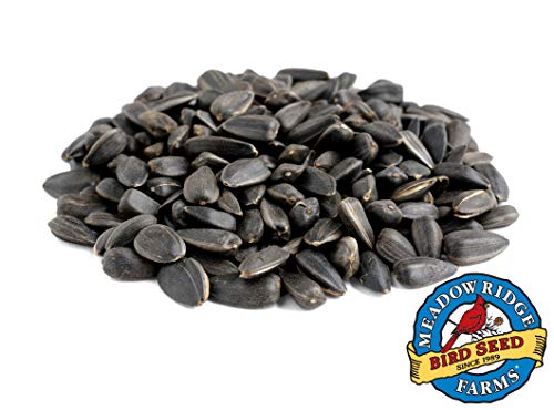 Meadow Ridge Farms Black Oil Sunflower Bird Seed, 10-Pound Bag