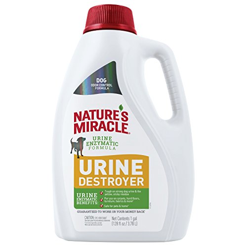 Nature's Miracle Dog Urine Destroyer for Dogs, Urine Enzymatic Formula, Pour, 32 oz (P-96999)