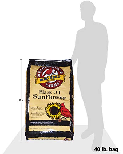 Meadow Ridge Farms Black Oil Sunflower Bird Seed, 10-Pound Bag