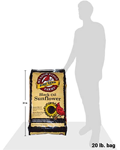 Meadow Ridge Farms Black Oil Sunflower Bird Seed, 10-Pound Bag