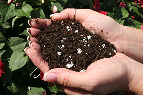 Espoma Bio-Tone Starter Plus Plant Food, Natural & Organic Fertilizer for All Plants, 4 lb, Pack of 2