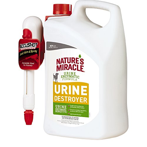 Nature's Miracle Dog Urine Destroyer for Dogs, Urine Enzymatic Formula, Pour, 32 oz (P-96999)