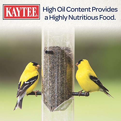 Kaytee Nyjer Wild Bird Food, 3 Pound